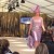 Independent fashion impresses crowds at Darlington Fashion Week