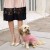 Oh my pugness! River Island launch a collection for dogs