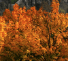 Essential Instagram posts you NEED on your feed this Autumn