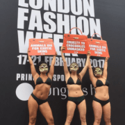 LFW: Mary Katrantzou catwalk disrupted