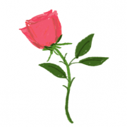 #PalentinesDay Takeover